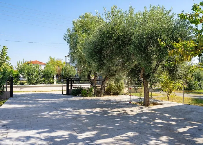 别墅 Zen New Plagia Chalkidiki